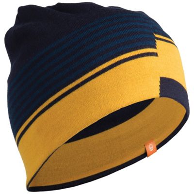 Icebreaker Hat Moosejaw