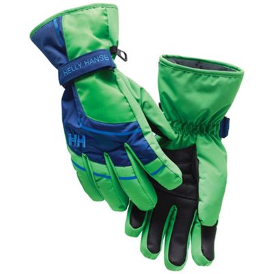 Helly Hansen Alpine Glove Moosejaw