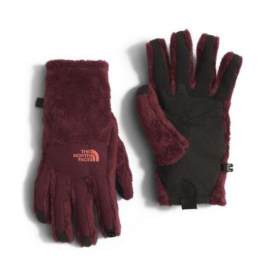 The North Face Women's Denali Thermal Etip Glove at