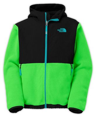 the north face usa international collection denali fleece