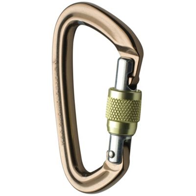 Black Diamond Positron Screwgate Carabiner Moosejaw