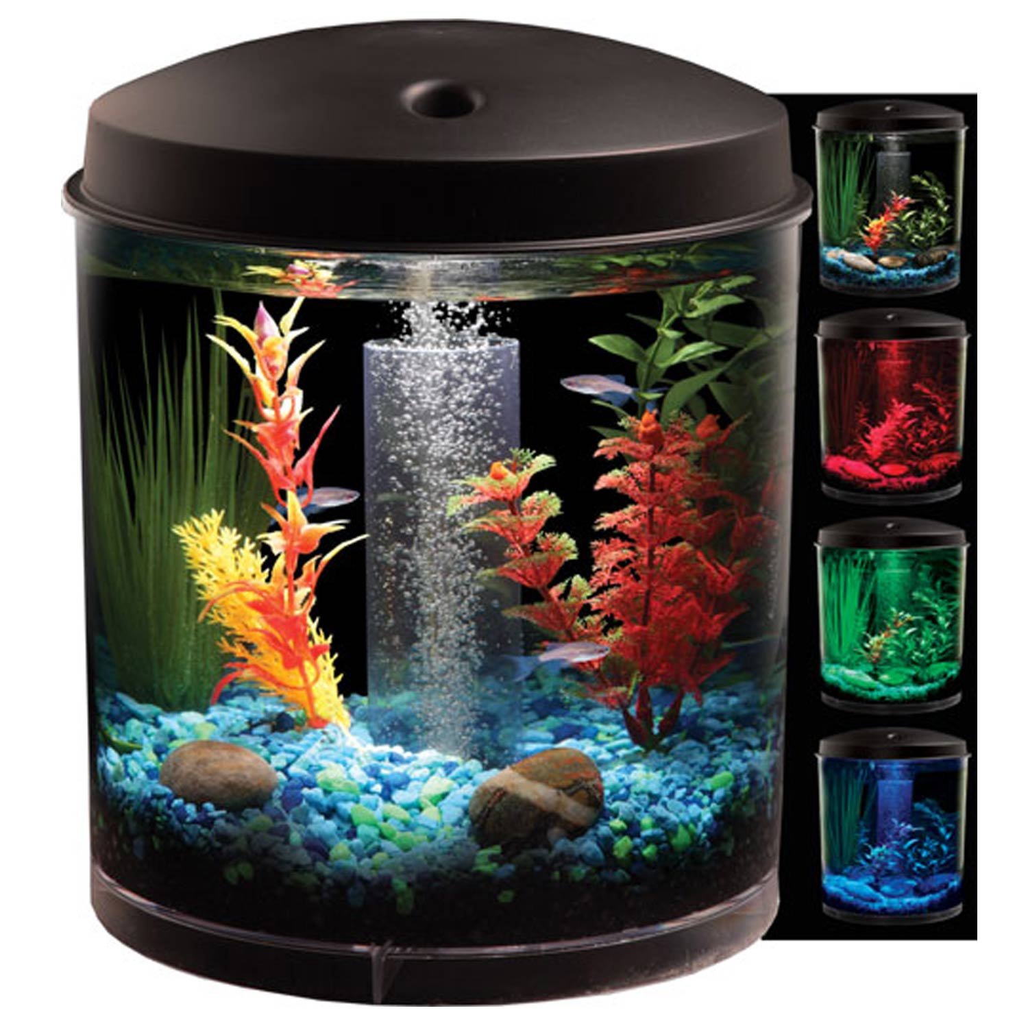 Petco 2 2024 gallon fish tank