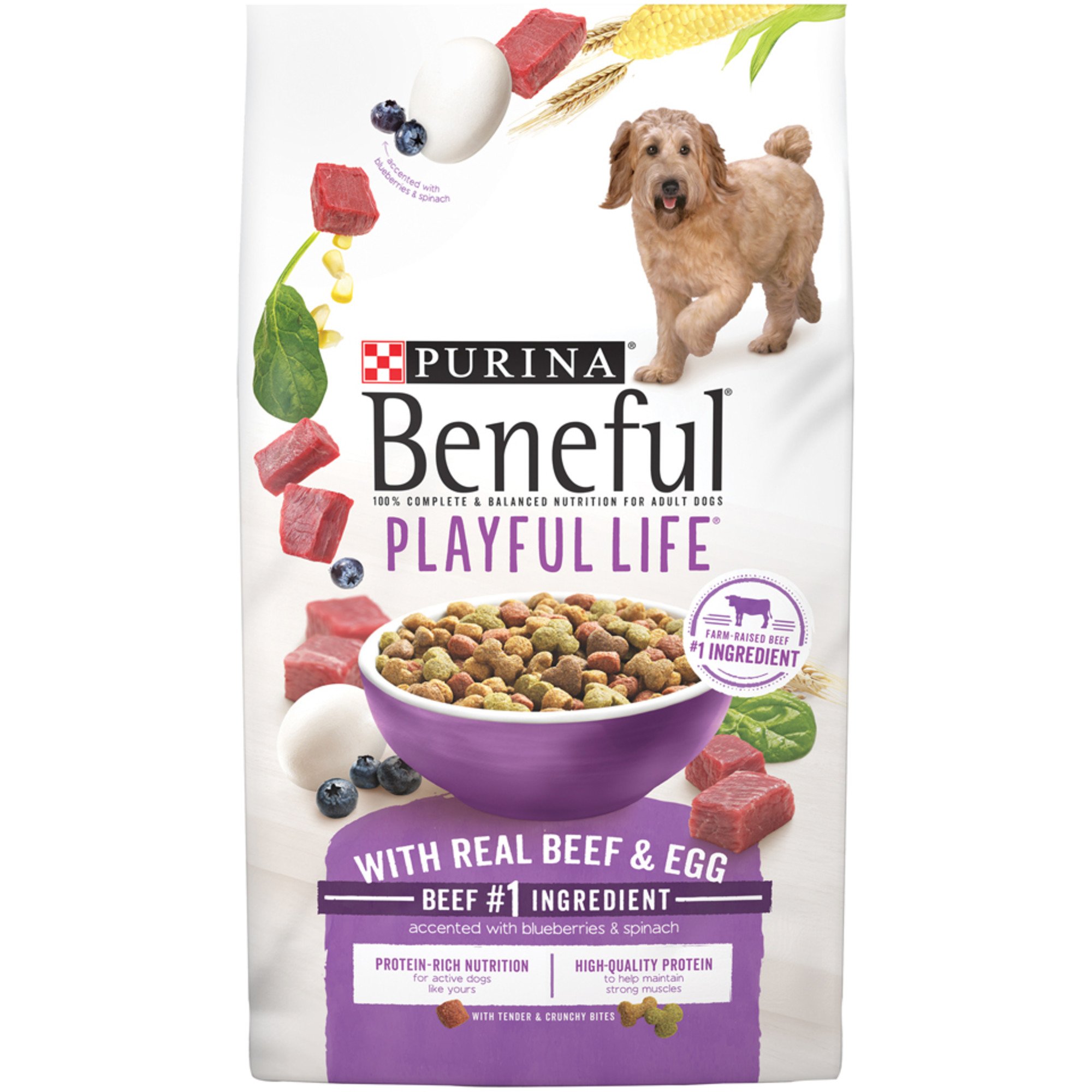 UPC 017800126335 product image for Beneful Playful Life Dog Food, 31.1 lbs. () | upcitemdb.com