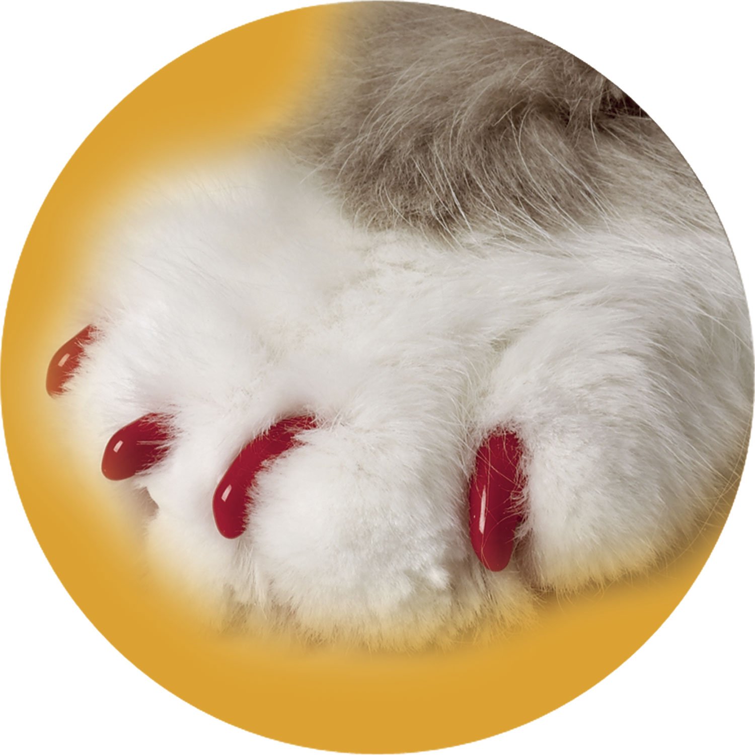 Soft Claws Red Cat Nail Caps | Petco