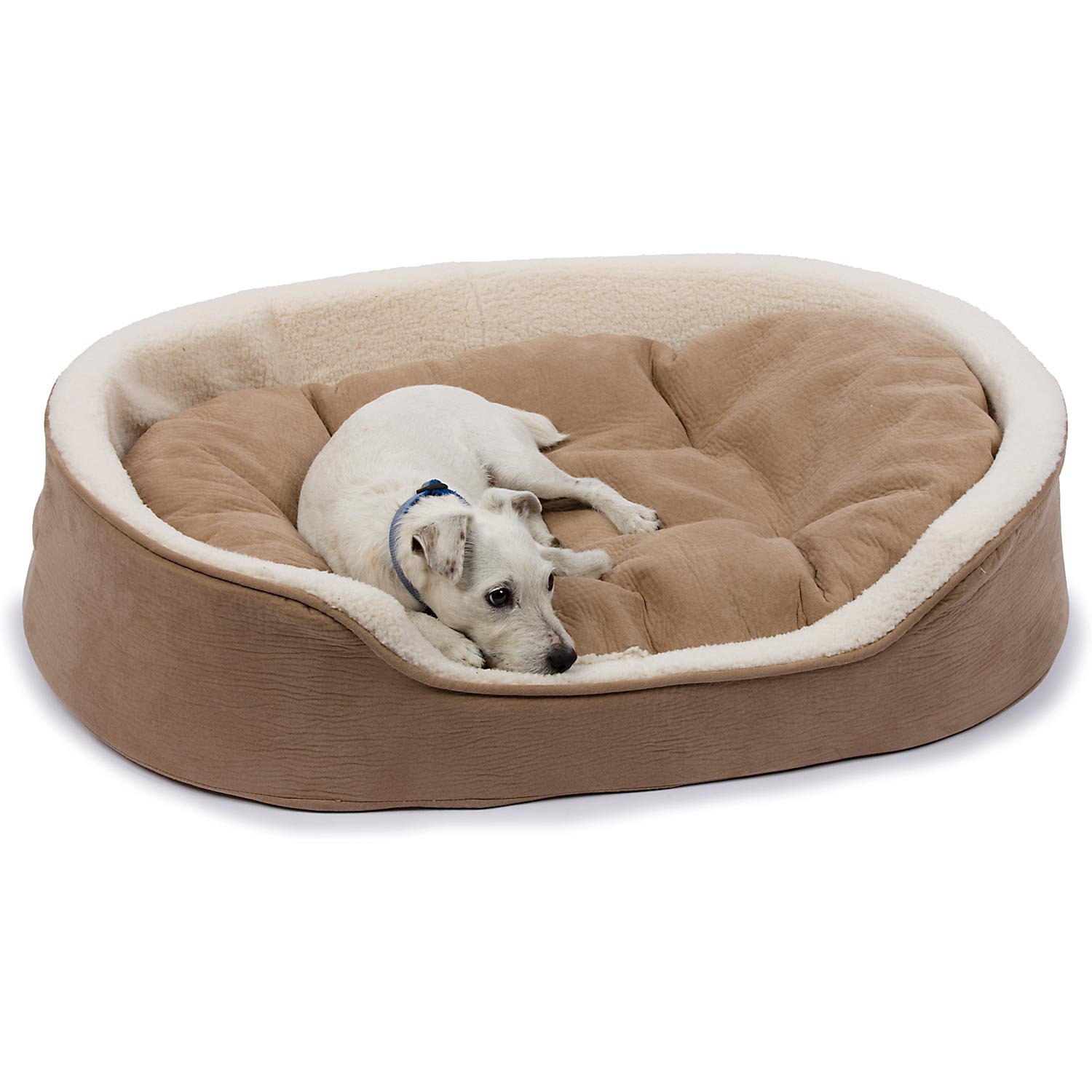 petco dog bed