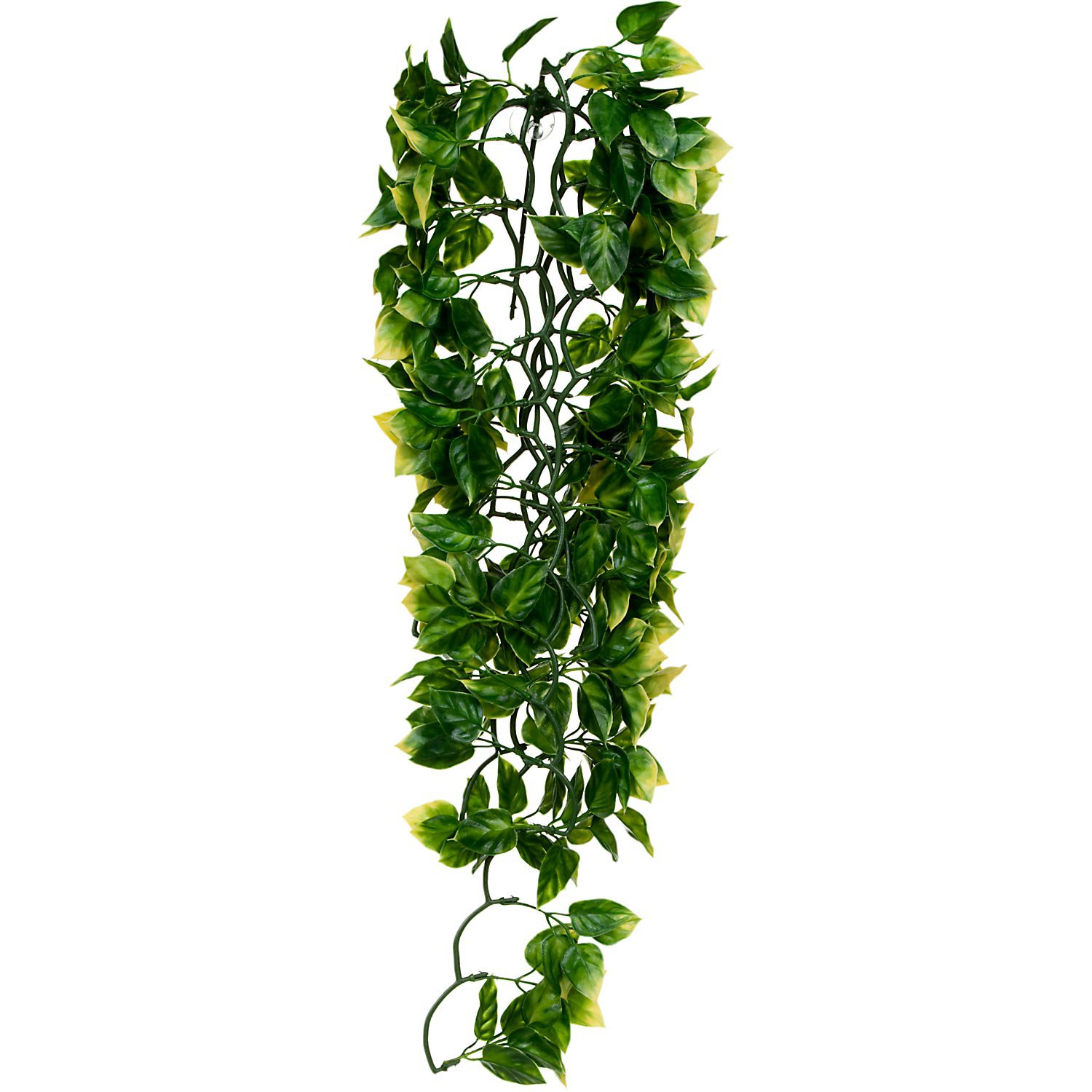 ExoTerra Amapallo Jungle Plant Petco