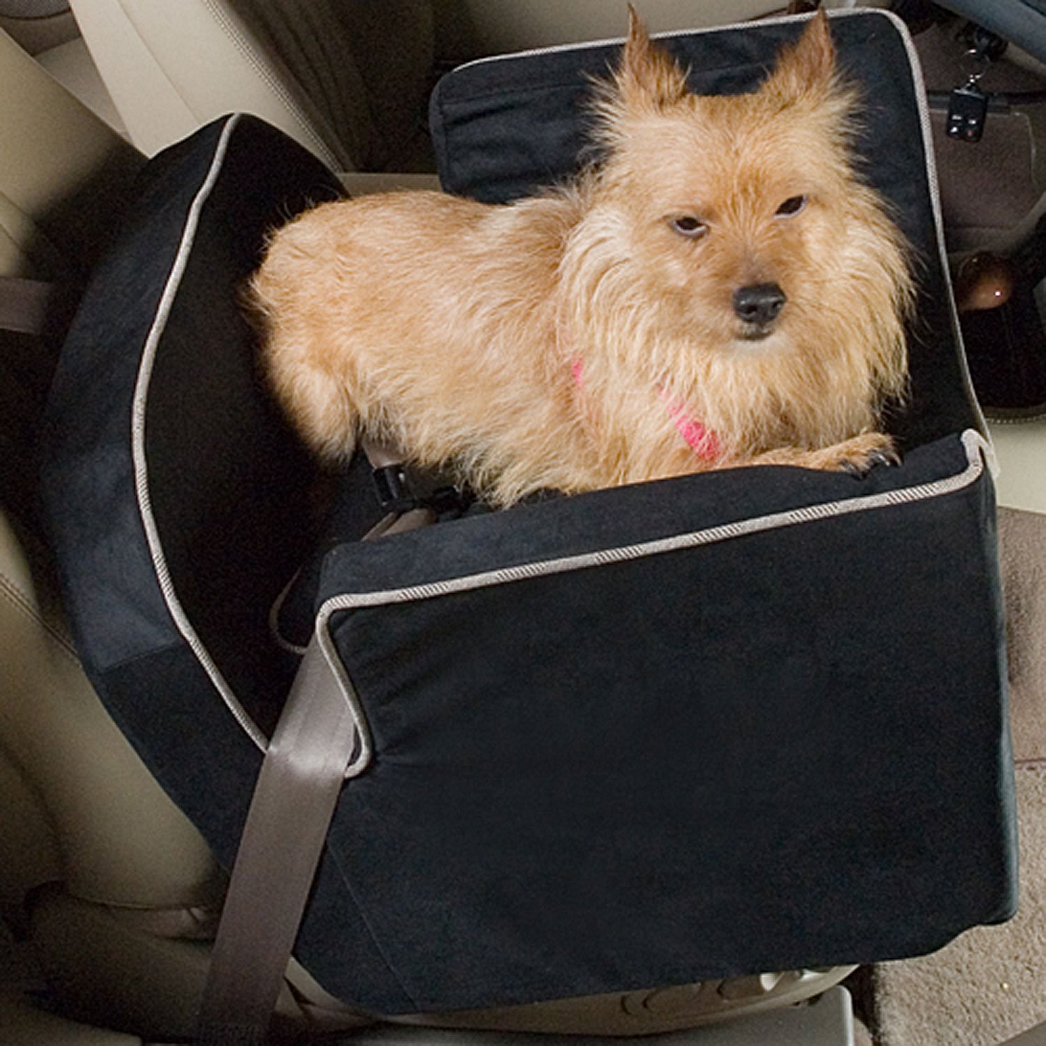 Snoozer Black Luxury Lookout I Dog Car Seat Petco