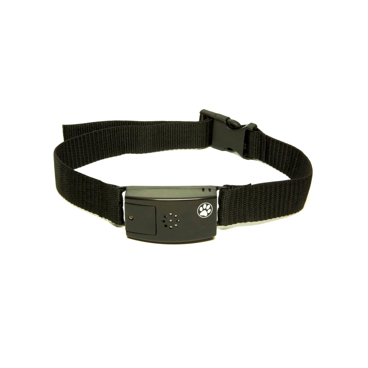 Pet Tags Adjustable No Bark Dog Collar Petco Store