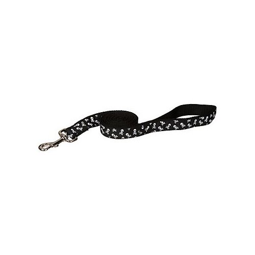 UPC 800443111659 product image for Petco Black & White Skull Print Dog Leash (6' Length; 1