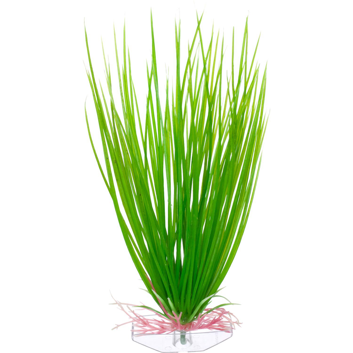 aquarium plants store Petco Green Hairgrass Midground Plastic