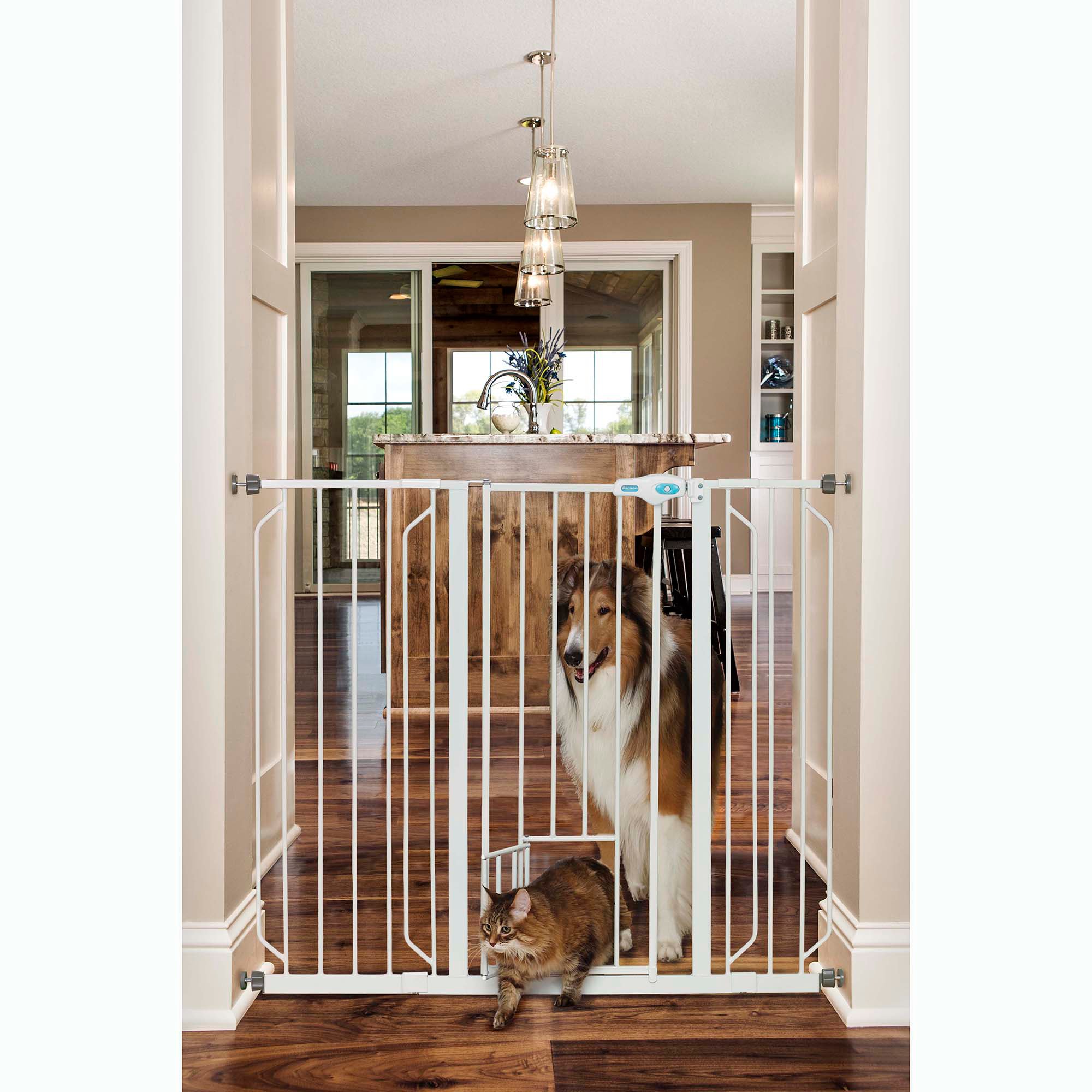 Carlson Pet Products Extra Tall Expandable Gate with Small Pet Door Petco