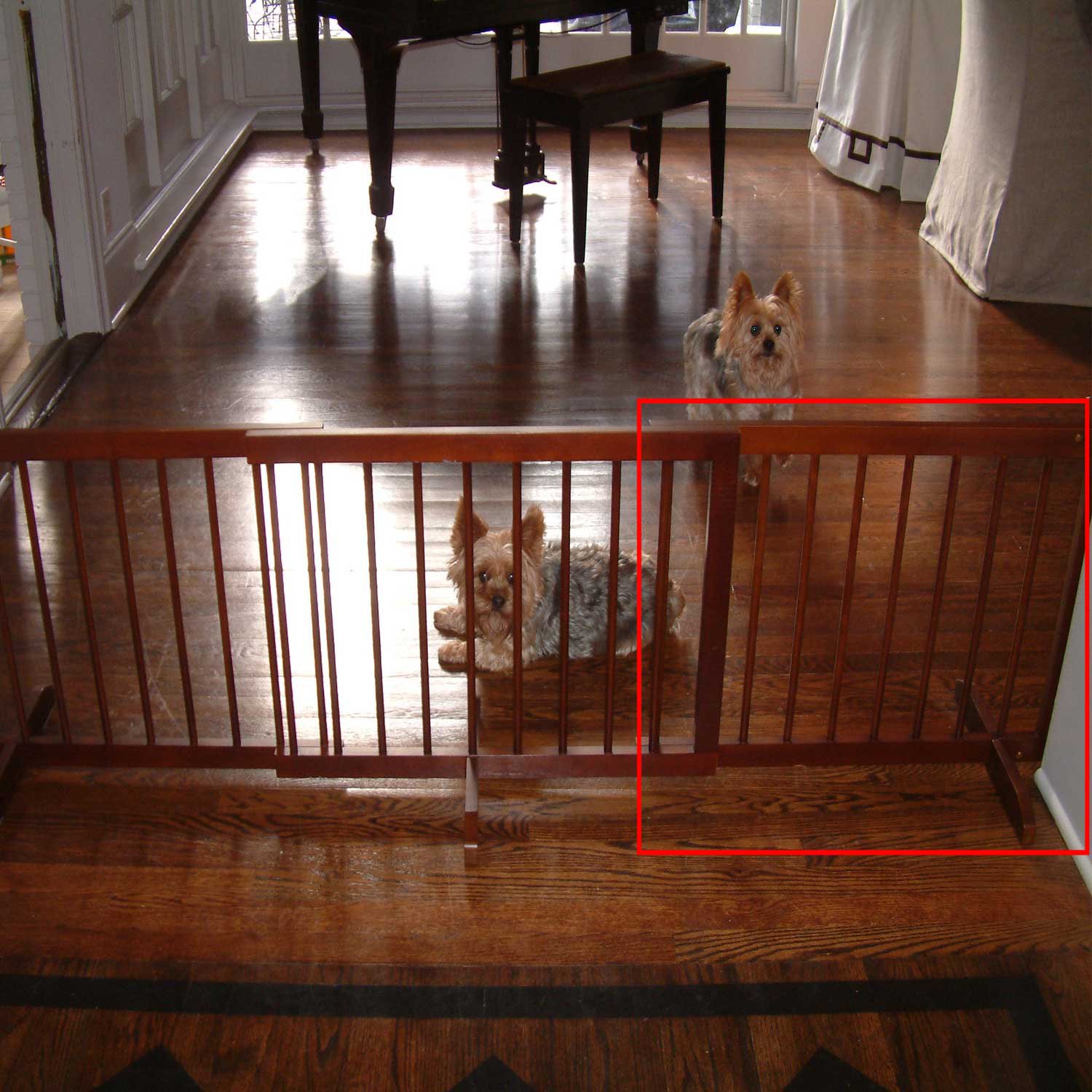 Cardinal Gates Walnut StepOver Pet Gate Extension Petco