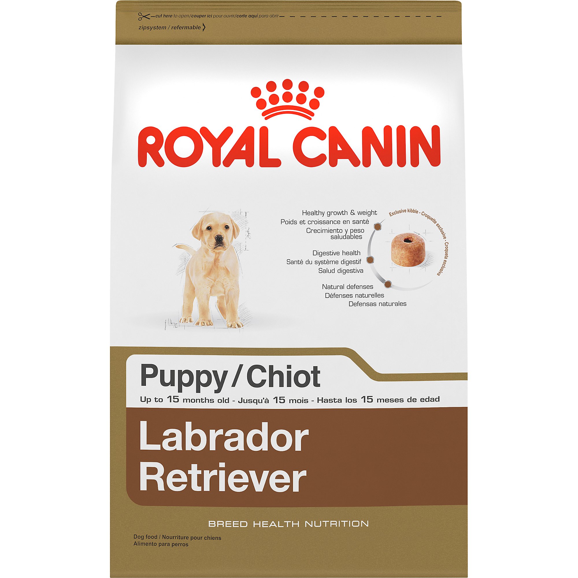 Labrador puppy food