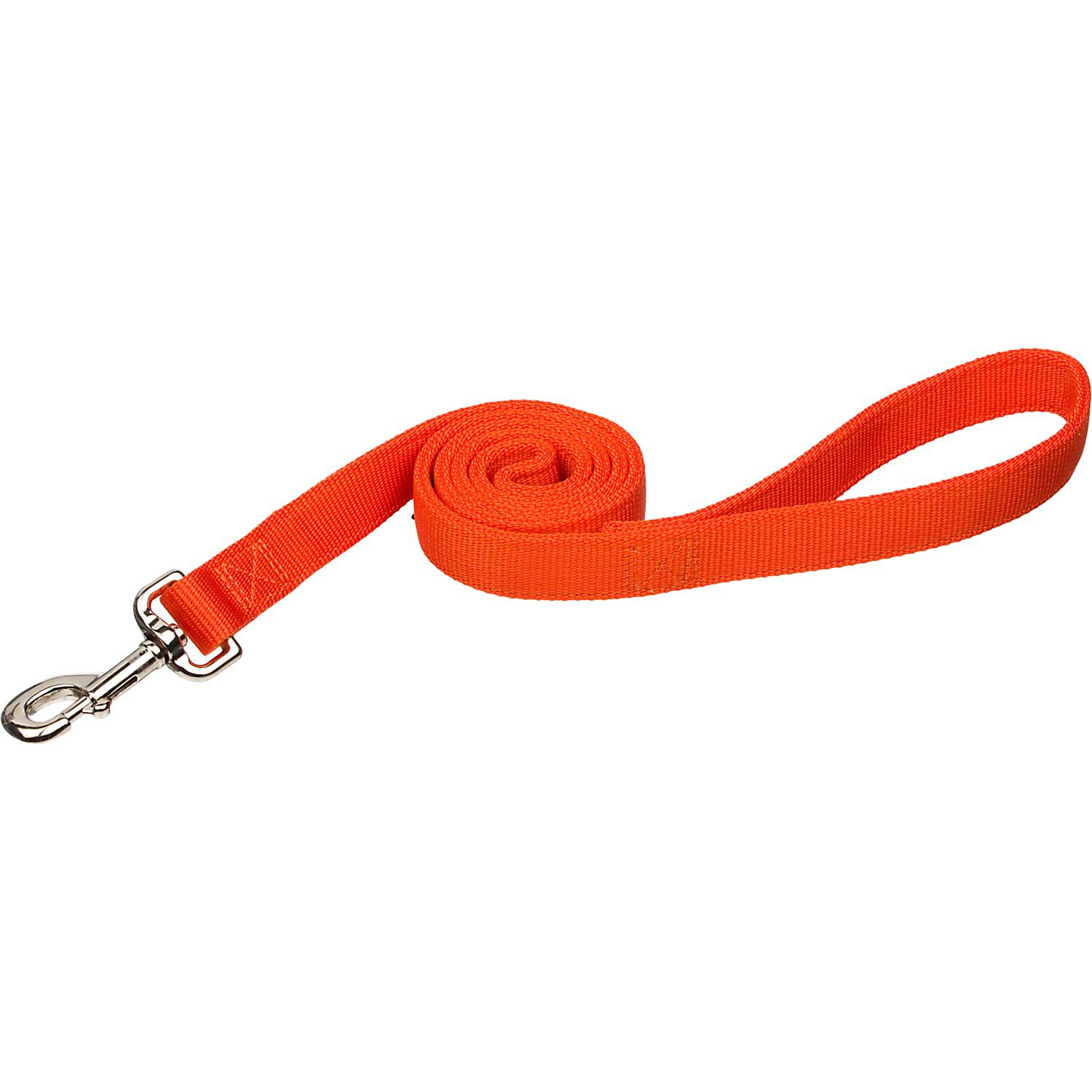 Coastal Pet Double Ply Nylon Personalized Dog Leash in Orange Petco