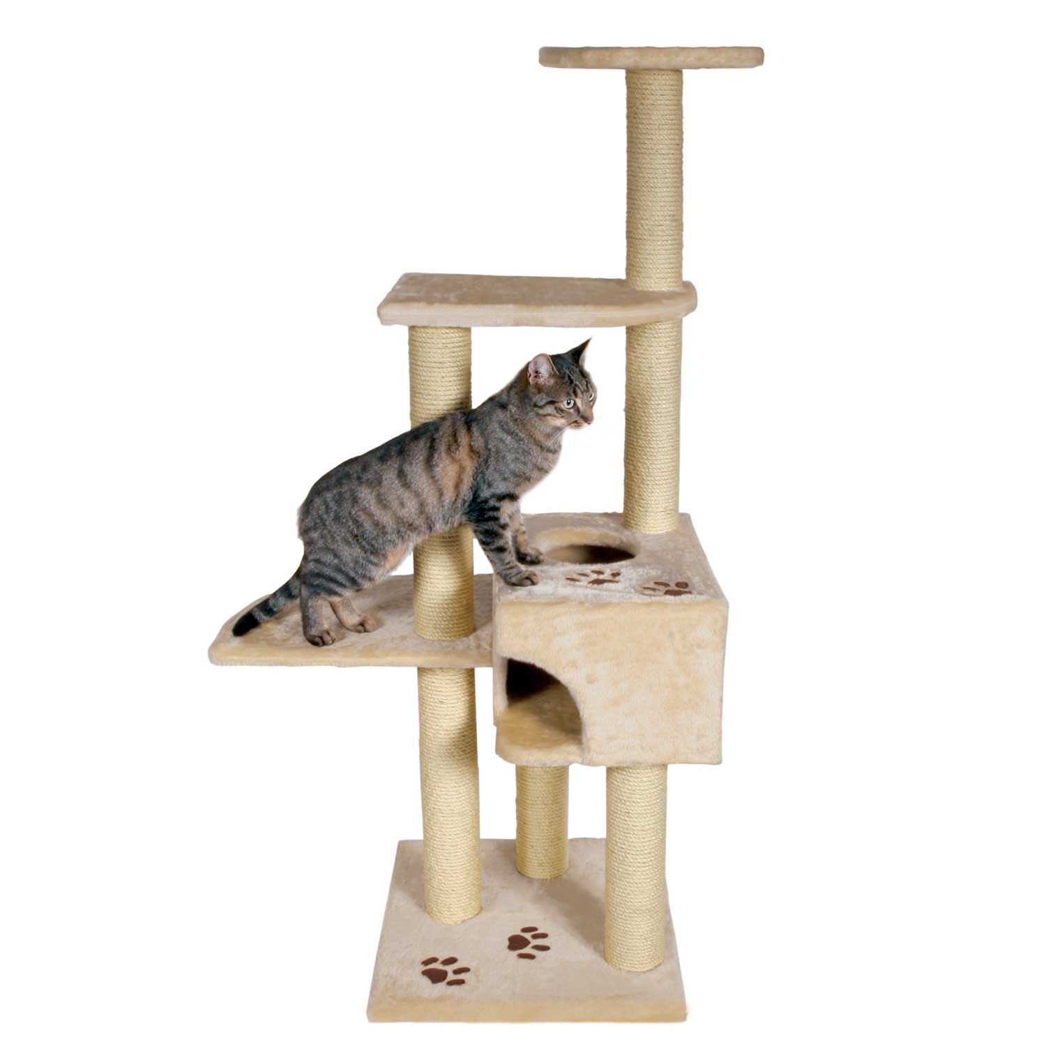 Trixie Alicante Cat Tree in Beige Petco
