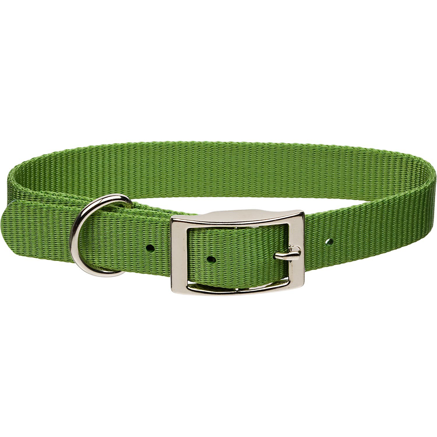 Coastal Pet Metal Buckle Nylon Personalized Dog Collar in Palm Green, 3