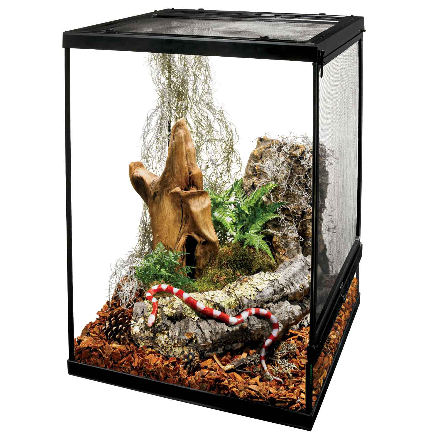 Zilla FLX Terrarium Petco Store