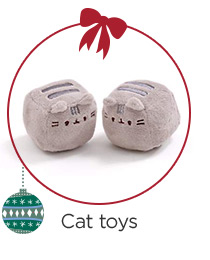 Cat toys.