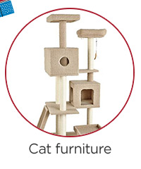 Cat furniture.
