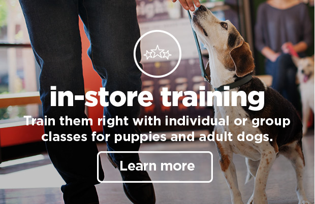 In-store training. Train them right with individual or group classes for puppies and adult dogs. Learn more.