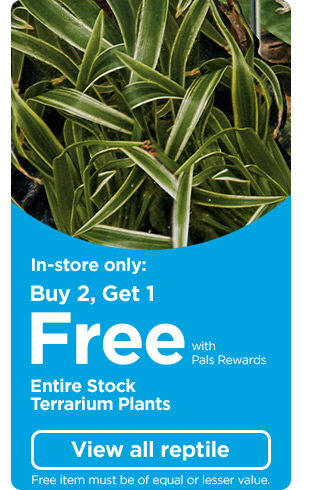 In-store only: Buy 2, Get 1 Free with Pals Rewards. Entire Stock Terrarium Plants. Free item must be of equal or lesser value. View all reptile.
