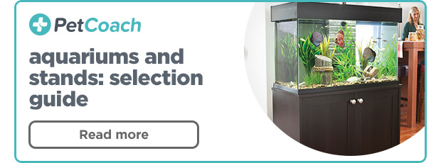 PetCoach - Aquariums and stands: selection guide. Read more >