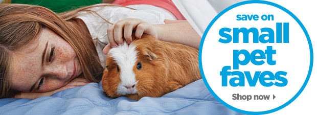 Save on small pet faves. Shop now.