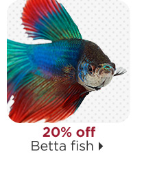 20% off Betta fish.