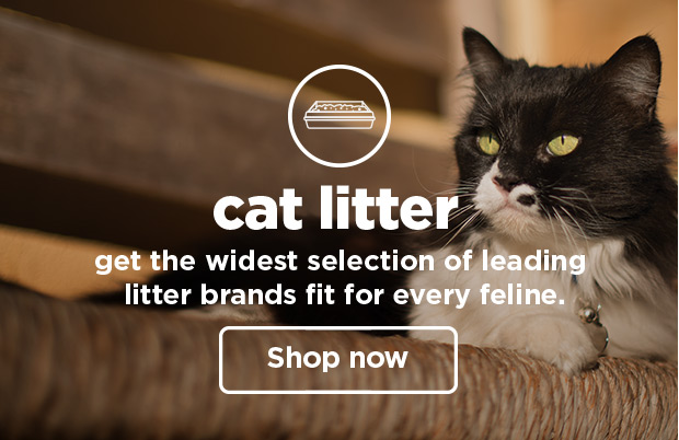 Cat litter. Get the widest selection of leading litter brands fit for every feline. Shop now.