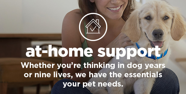 At-home support. Whether you are thinking in dog years or nine lives, we have the essentials your pet needs. Shop now.