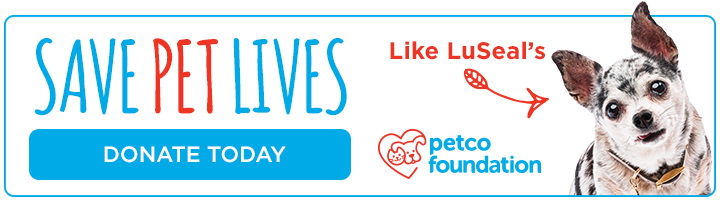 Save Pet Lives. Donate to Petco Foundation today.