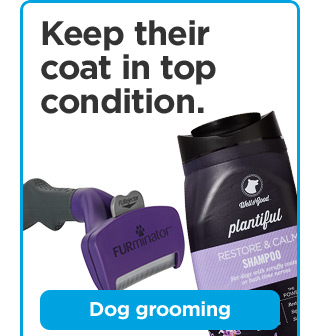 Keep their coat in top condition. Dog grooming.