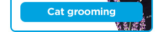Cat grooming.