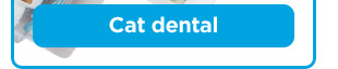 Cat dental.