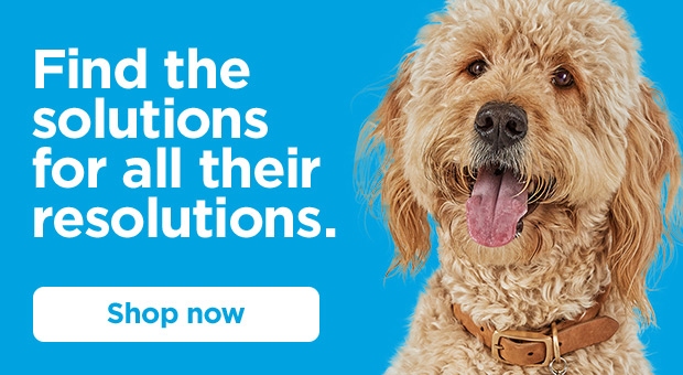 Find the solutions for all their resolutions. Shop now.