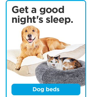 Get a good night's sleep. Dog beds.