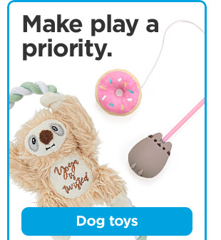 Make play a priority. Dog toys.