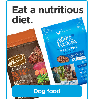 Eat a nutritious diet. Dog food.