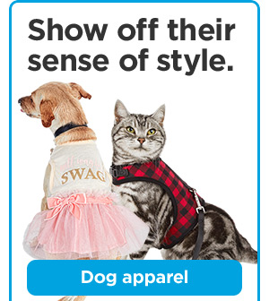 Show off their sense of style. Dog apparel.