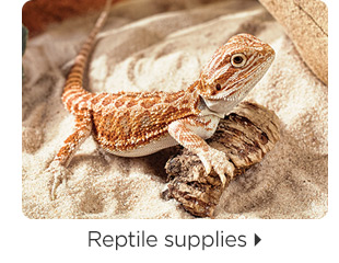 Reptile supplies.