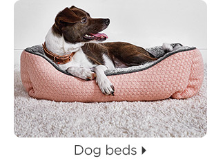 Dog beds.