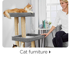 Cat furniture.