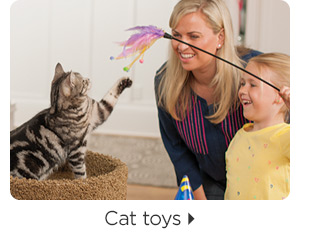 Cat toys.