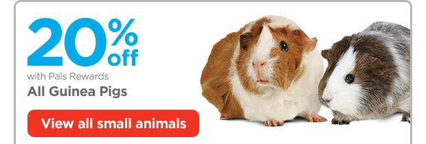 20% off with Pals Rewards. All Guinea Pigs. View all small animals.