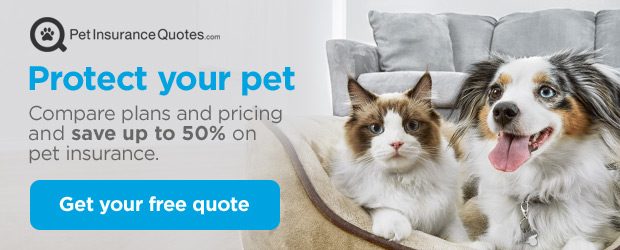 Pet Insurance Quotes. Protect your pet. Compare plans and pricing and save up to 50% on pet insurance. Get your free quote.