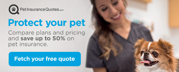 Pet Insurance Quotes. Protect your pet. Compare plans and pricing and save up to 50% on pet insurance. Fetch your free quote.