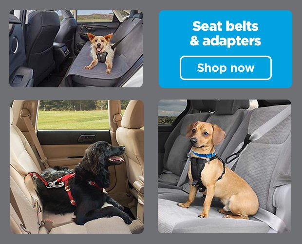 Seat belts & adapters. Shop now.
