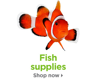 Fish supplies. Shop now.