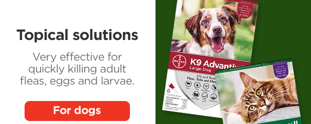 Topical solutions. Very effective for quickly killing adult fleas, eggs and larvae. For dogs.