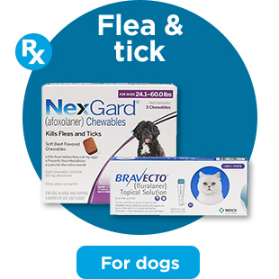 Flea & tick. For dogs.